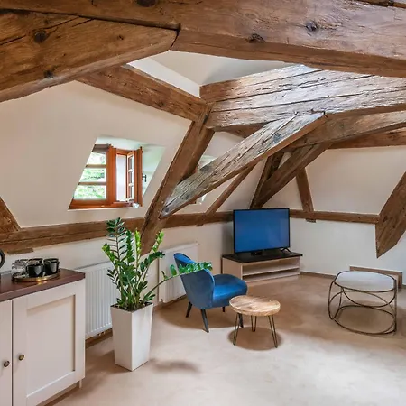 Guest house Castle & Wellness Podebrady